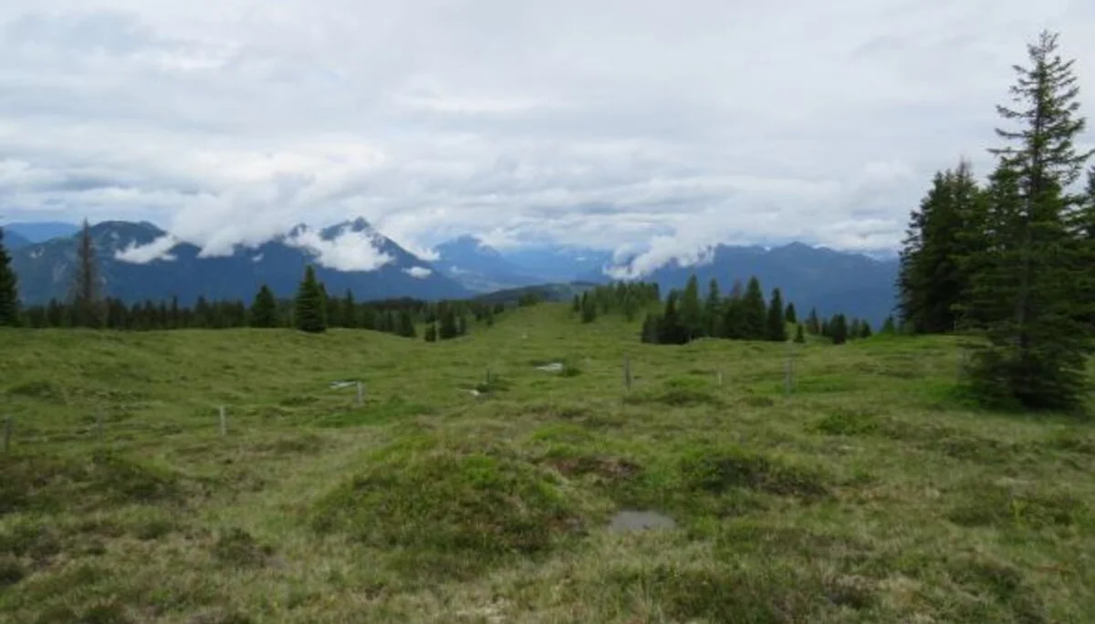 © DAV Sektion Königsberg