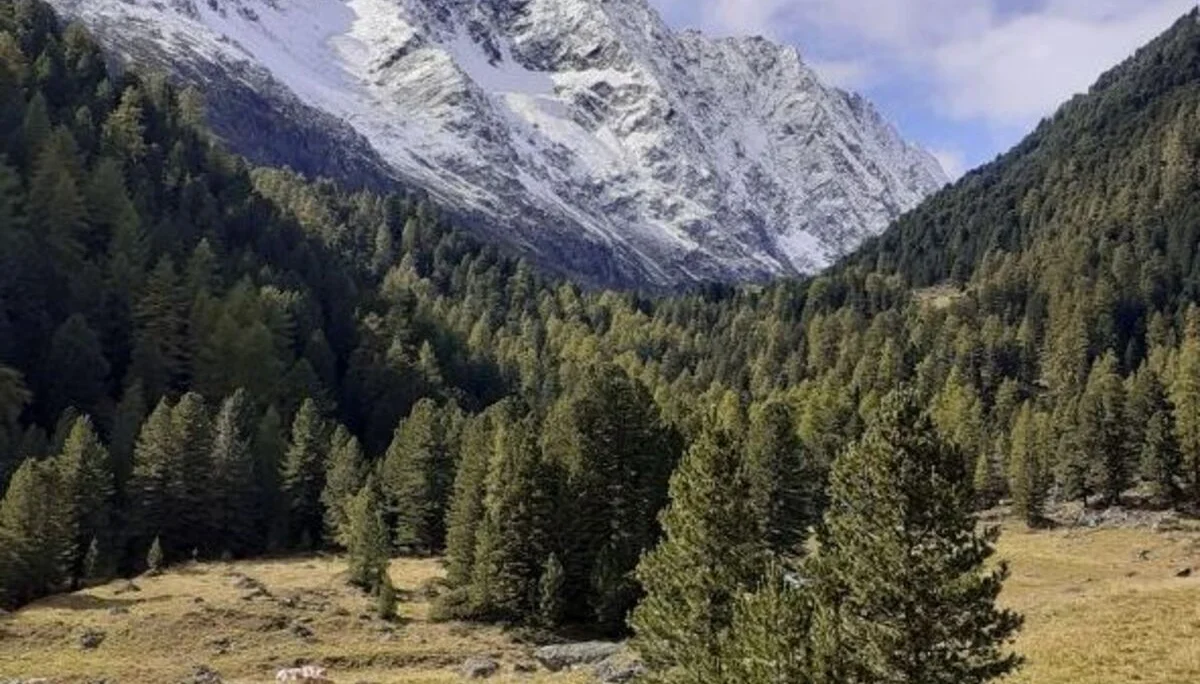 © DAV Sektion Königsberg, Ulrich Gimbal